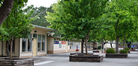 Brookside School